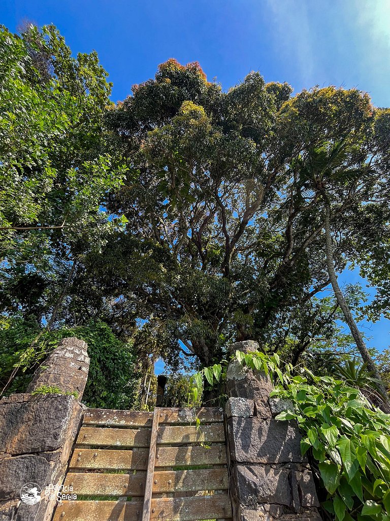 Casa beira-mar com vista - Ilhabela, Armação