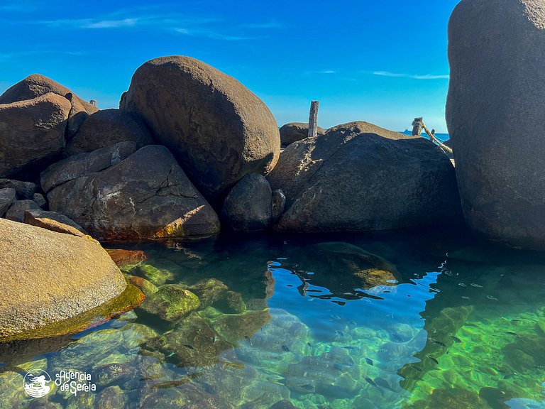 Chalé repleto de natureza e vista mar em Ilhabela