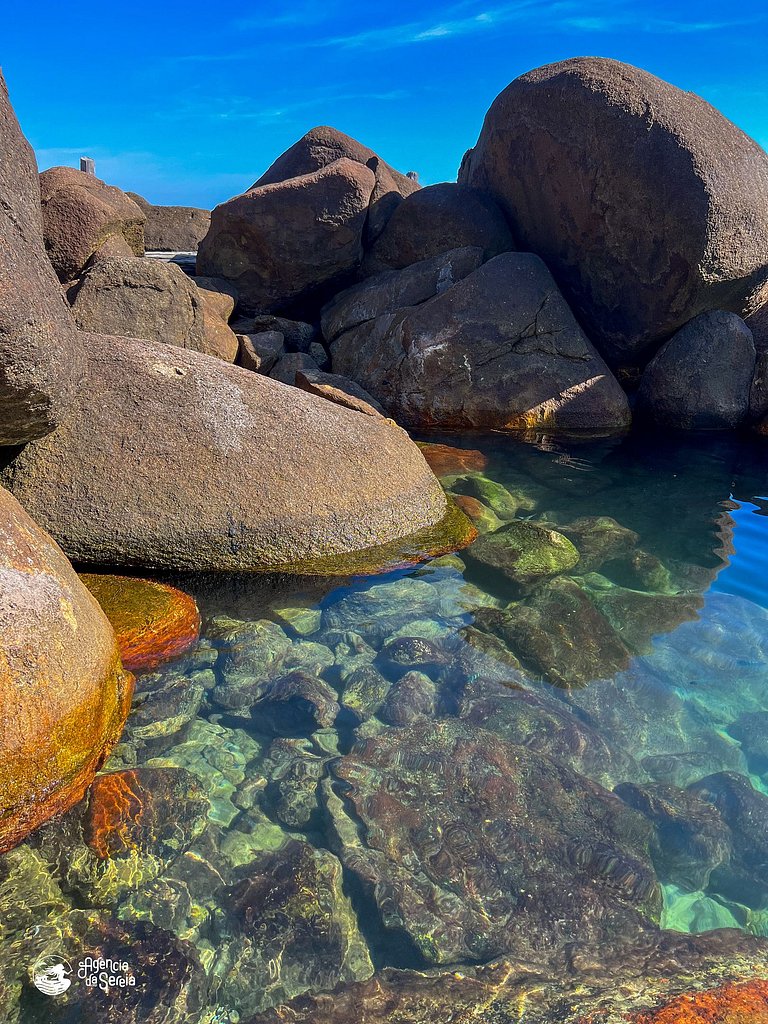 Refúgio em meio a natureza no sul da Ilhabela